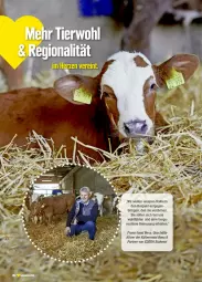 Gazetka promocyjna Edeka - Prospekte - Gazetka - ważna od 27.07 do 27.07.2024 - strona 8 - produkty: deka, ring, südwest, Ti, wolle