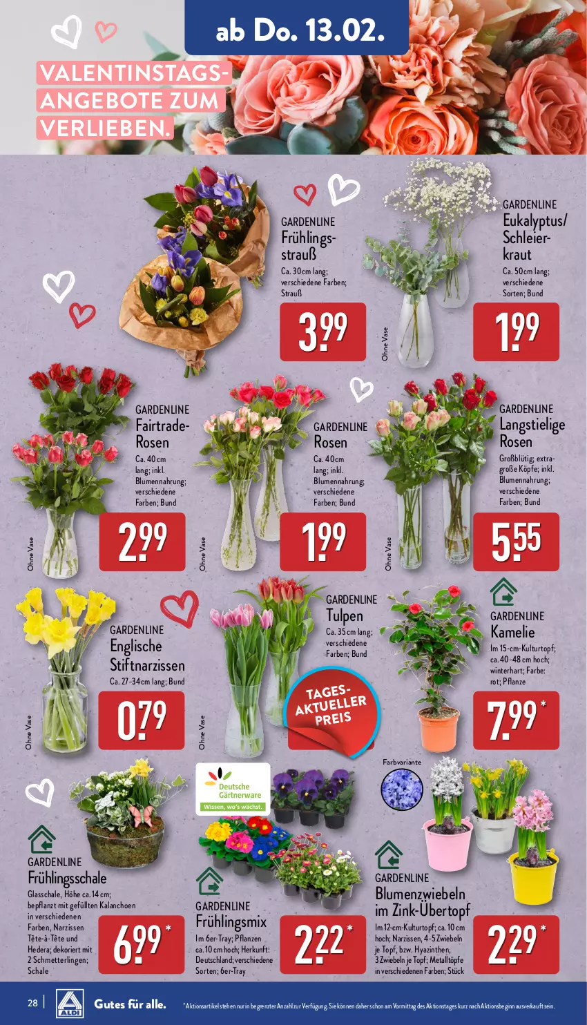 Aktueller Prospekt Aldi Nord - Von Montag - von 10.02 bis 15.02.2025 - strona 28 - produkty: angebot, angebote, blume, blumen, Blüte, Brei, eier, gin, Kalanchoe, Kraut, kulturtopf, Mett, Narzissen, pflanze, pflanzen, Ria, rosen, Schal, Schale, Ti, topf, übertopf, Vase, ZTE, zwiebel, zwiebeln