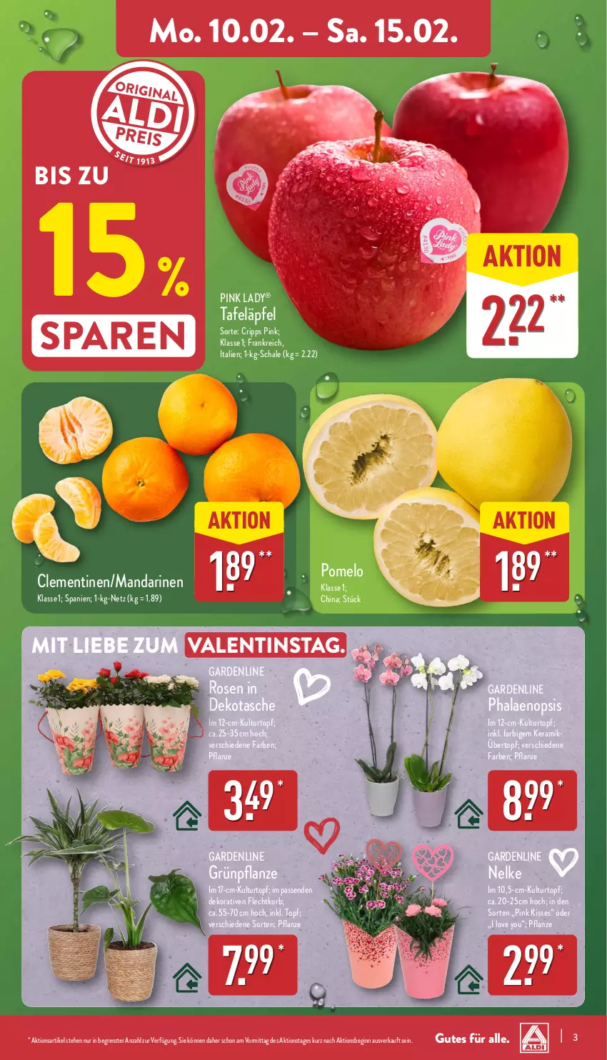 Aktueller Prospekt Aldi Nord - Von Montag - von 10.02 bis 15.02.2025 - strona 3 - produkty: clementinen, gin, korb, kulturtopf, mandarine, mandarinen, pflanze, phalaenopsis, Pink Lady, Pomelo, rosen, Schal, Schale, tafeläpfel, Tasche, Ti, topf, übertopf, Yo, ZTE