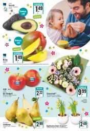 Gazetka promocyjna Edeka - Angebote der Woche - Gazetka - ważna od 16.04 do 16.04.2022 - strona 3 - produkty: angebot, avocado, bio, Birnen, blume, blumen, Narzissen, nuss, Schal, Schale, tafeläpfel, tafelbirnen, Ti, topf, ZTE