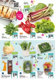 Gazetka promocyjna Edeka - Angebote der Woche - Gazetka - ważna od 16.04 do 16.04.2022 - strona 4 - produkty: Becher, bio, bohne, bohnen, cola, elle, feldsalat, fenchel, LG, mini-rispentomaten, paprika, pflaume, pflaumen, rhabarber, rispentomaten, rucola, salat, Schal, Schale, snack, snacks, Spitzpaprika, tomate, tomaten