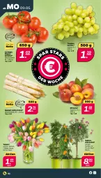 Gazetka promocyjna Netto - Angebote ab Montag - Gazetka - ważna od 14.05 do 14.05.2022 - strona 2 - produkty: pfirsich, pfirsiche, rispentomaten, spargel, Ti, tomate, tomaten, topf, trauben, Vase