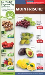 Gazetka promocyjna Combi - Prospekte - Gazetka - ważna od 24.09 do 24.09.2022 - strona 2 - produkty: angebot, angebote, avocado, avocados, beutel, bio, Birnen, champignon, champignons, creme, mac, natur, nuss, paprika, Schal, Schale, tafelbirnen, tafeltrauben, Ti, tomate, tomaten, trauben, zitrone, zitronen