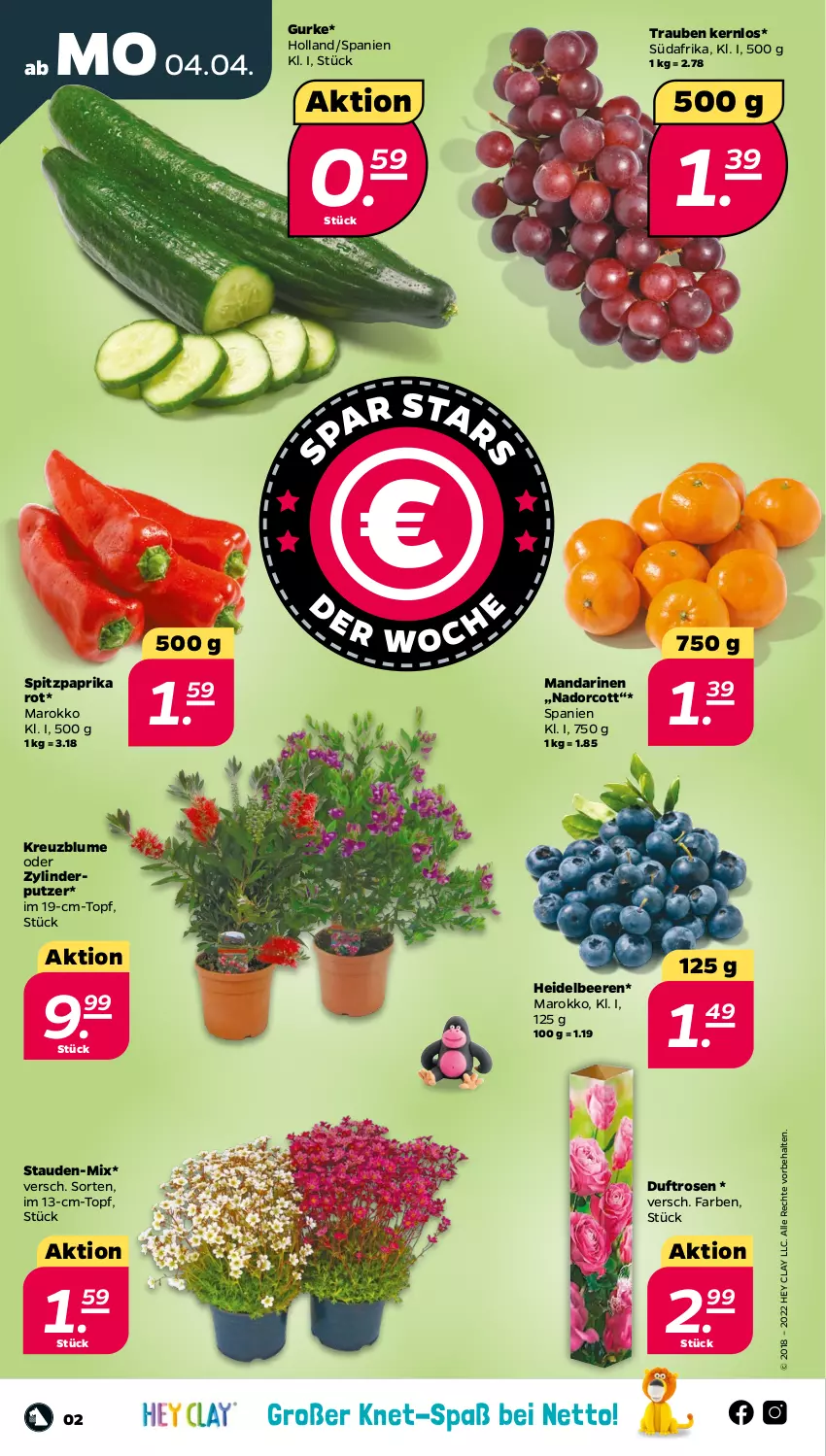 Aktueller Prospekt Netto - Angebote ab Montag - von 04.04 bis 09.04.2022 - strona 2 - produkty: beere, beeren, blume, gurke, heidelbeere, heidelbeeren, mandarine, mandarinen, paprika, paprika rot, rosen, Spitzpaprika, stauden, Ti, topf, trauben