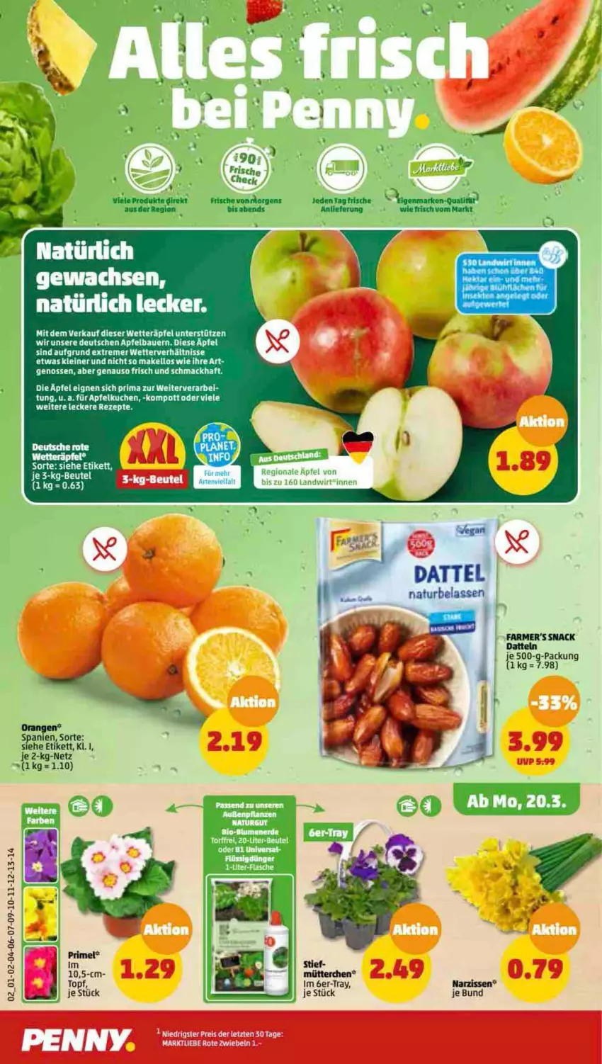 Aktueller Prospekt Penny - Prospekte - von 20.03 bis 25.03.2023 - strona 2 - produkty: apfel, auer, Bau, Bauer, flasche, leine, mac, Narzissen, natur, orange, orangen, snack, Ti, topf