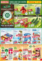 Gazetka promocyjna Norma - Norma - Gazetka - ważna od 26.04 do 26.04.2022 - strona 9 - produkty: apfel, banane, Becher, beere, beeren, cocktail, direktsaft, eimer, eis, erdbeere, erde, flasche, fleisch, frucht, fruchtfleisch, gurke, gurken, heidelbeere, heidelbeeren, himbeer, himbeere, joghur, joghurt, kühlregal, Landgurken, LG, milch, mit frucht, natur, nuss, obst, Obst und Gemüse, orange, pril, quark, rahmjoghurt, regal, reis, rel, rispentomaten, saft, säfte, Schal, Schale, schoko, Schokomilch, smoothie, Ti, tiefpreis, tomate, tomaten, und gemüse, vollmilch, walnuss, walnusskerne, zaziki