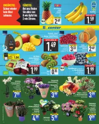 Gazetka promocyjna E Center - Angebote der Woche - Gazetka - ważna od 16.04 do 16.04.2022 - strona 2 - produkty: apfel, banane, bananen, obst, Ti, zitrone