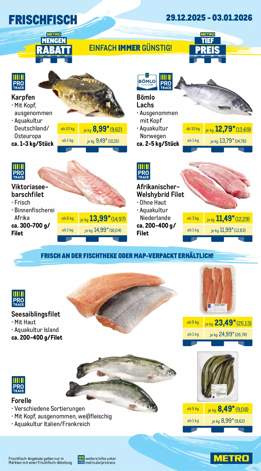Aktueller Prospekt Metro - Wochen-Angebote Gastro - von 29.12.2025 bis 03.01.2026 - strona 5 - produkty: Abtei, angebot, angebote, aqua, eis, elle, filet, fisch, fische, Fischer, fischtheke, fleisch, forelle, frischfisch, lachs, Metro, rel, Ria, rwe, Saibling, Schere, Seesaiblingsfilet, Ti, Wels
