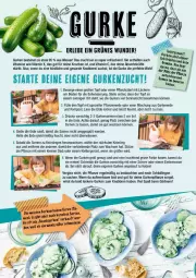 Gazetka promocyjna Diska - Gazetka - ważna od 29.06 do 29.06.2024 - strona 30 - produkty: Bau, beko, elle, erde, Garten, gurke, gurken, leine, Leuchte, leuchten, mac, messer, pflanze, pflanzen, Schere, Spezi, Ti, topf, vita, Vitamin C, Vitamine, wasser