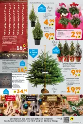 Gazetka promocyjna  - Gazetka - ważna od 07.12 do 07.12.2024 - strona 5 - produkty: Alpenveilchen, Blüte, decke, fenster, Fenster und Türen, Garten, Holz, Lichtervorhang, Mode, pflanze, Ti, timer, tisch, topf, zucker