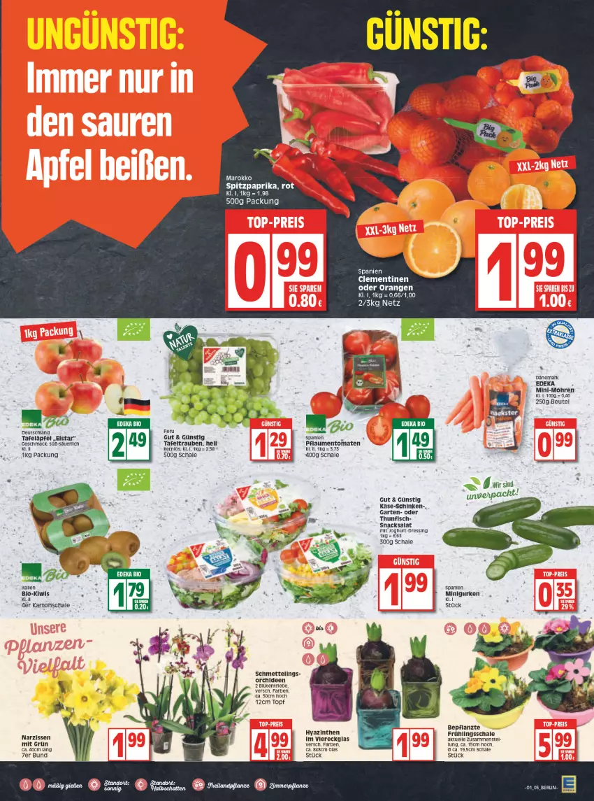 Aktueller Prospekt Edeka - Angebote der Woche - von 03.01 bis 08.01.2022 - strona 5 - produkty: beutel, bio, Blüte, clementinen, deka, dressing, edeka bio, elle, fisch, Garten, gurke, gurken, joghur, joghurt, Käse, kiwi, mac, Mett, Mini-Möhren, möhren, Narzissen, orange, orangen, orchidee, orchideen, paprika, pflanze, pflaume, pflaumen, salat, Schal, Schale, schinken, snack, snacks, Spitzpaprika, tafeläpfel, tafeltrauben, thunfisch, Ti, tomate, tomaten, topf, trauben, ZTE