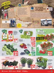 Gazetka promocyjna Edeka - Angebote der Woche - Gazetka - ważna od 23.04 do 23.04.2022 - strona 3 - produkty: Bau, beere, beeren, deka, eis, Elan, elle, erde, früchte, heidelbeere, heidelbeeren, himbeer, himbeere, himbeeren, jako, kartoffel, kartoffeln, kohlrabi, kopfsalat, lavendel, leine, LG, mac, ndk, Omep, pflanze, pflanzen, reis, salat, spargel, Sport, tafeltrauben, Ti, tisch, topf, trauben