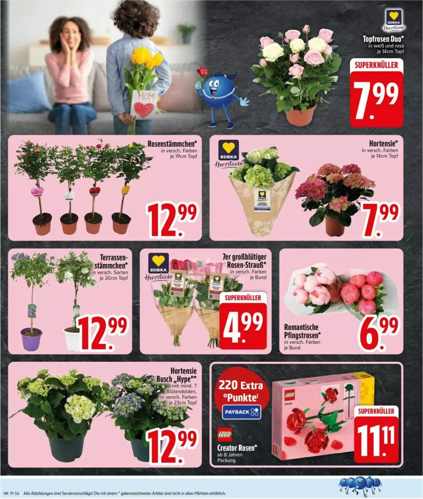 Aktueller Prospekt Edeka - Prospekte - von 04.05 bis 09.05.2026 - strona 8 - produkty: ente, hortensie, Pfingstrosen, rosen, Ti, tisch, topf