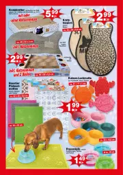 Gazetka promocyjna  - Prospekte - Gazetka - ważna od 20.06 do 20.06.2026 - strona 4 - produkty: aust, Stier, teppich, Ti