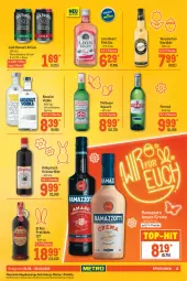 Gazetka promocyjna Metro - Food - Gazetka - ważna od 30.03 do 30.03.2022 - strona 13 - produkty: Absolut Vodka, amaro, aqua, aquavit, cola, eier, eierlikör, flasche, getränk, getränke, gin, jack daniel, kräuter, kräuterlikör, likör, lion, malteser, Palette, rama, ramazzott, ramazzotti, spirituosen, Ti, top-hit, verpoorten, vodka, zott