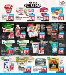 Gazetka promocyjna Hit - Wochenprospekt - Gazetka - ważna od 03.01 do 03.01.2026 - strona 11 - produkty: activia, alpro, andechser natur, arla, aus dem kühlregal, Becher, bio, butter, choco fresh, danone, danone activia, danone fruchtzwerge, dessert, Dr. Oetker, drink, drinks, ehrmann, Ehrmann Grand Dessert, eis, ferrero, flasche, frucht, früchte, fruchtzwerge, Garten, gin, grütze, hafer, Haferdrink, joghur, joghurt, jogurt, kokos, kühlregal, Like Meat, mascarpone, milch, Müller, müllermilch, natur, obst, obstgarten, pudding, rama, regal, reis, sahne, Sahnejoghurt, salz, soja, Ti, zott, ZTE, zucker