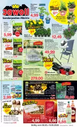 Gazetka promocyjna Jawoll - Prospekte - Gazetka - ważna od 13.05 do 13.05.2023 - strona 1 - produkty: angebot, angebote, Begonia, blume, blumen, Blumenampel, Brei, cola, dekoration, dünger, eis, erde, flasche, Garten, gartenstuhl, hängesessel, Jubiläums, Kette, kissen, korb, leds, lichterkette, lindor, lindt, listerine, magnum, mandel, martini, milch, mundspülung, pflanze, pflanzerde, pralinen, rasen, rasenmäher, reis, rind, rindenmulch, Rückenkissen, rückenlehne, sac, Schal, sessel, siena, sonderposten, spülung, stuhl, Ti, tomate, tomaten, topf, white chocolate