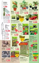 Gazetka promocyjna Jawoll - Prospekte - Gazetka - ważna od 13.05 do 13.05.2023 - strona 6 - produkty: ball, berliner, beutel, blume, blumen, blumenerde, blumenkohl, cocktail, dünger, eier, eis, erde, fleisch, frucht, Garten, Gemüsedünger, Gemüseerde, gurke, gurken, HP, kohlrabi, kopfsalat, Kraut, kräuter, Mantel, paprika, peperoni, Peroni, pflanze, pflanzen, rasen, rasendünger, rasensamen, Ria, sac, salat, Spezi, Sport, Ti, tomate, tomaten, topf, zucchini