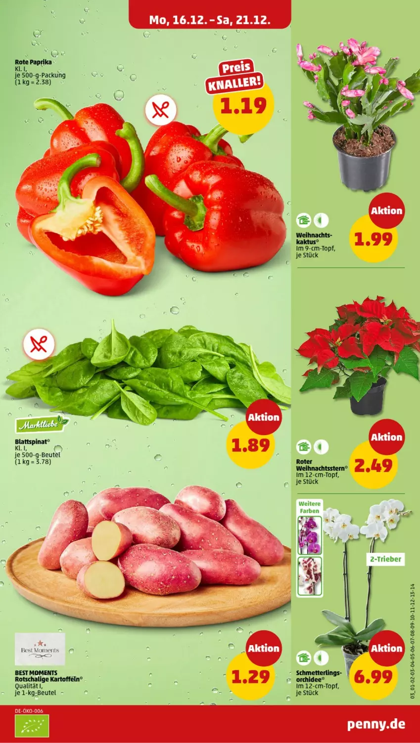 Aktueller Prospekt Penny - Prospekte - von 16.12 bis 21.12.2024 - strona 3 - produkty: beutel, blattspinat, im 9-cm-topf, kartoffel, kartoffeln, Mett, orchidee, Schal, Schmetterling, spinat, topf, Weihnachtsstern