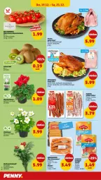 Gazetka promocyjna Penny - Prospekte - Gazetka - ważna od 21.12 do 21.12.2024 - strona 34 - produkty: Alpenveilchen, eis, ente, fleisch, gutfried, Käse, Käsekrainer, kiwi, pute, regal, salami, Schal, Schale, Ti, topf, wiener