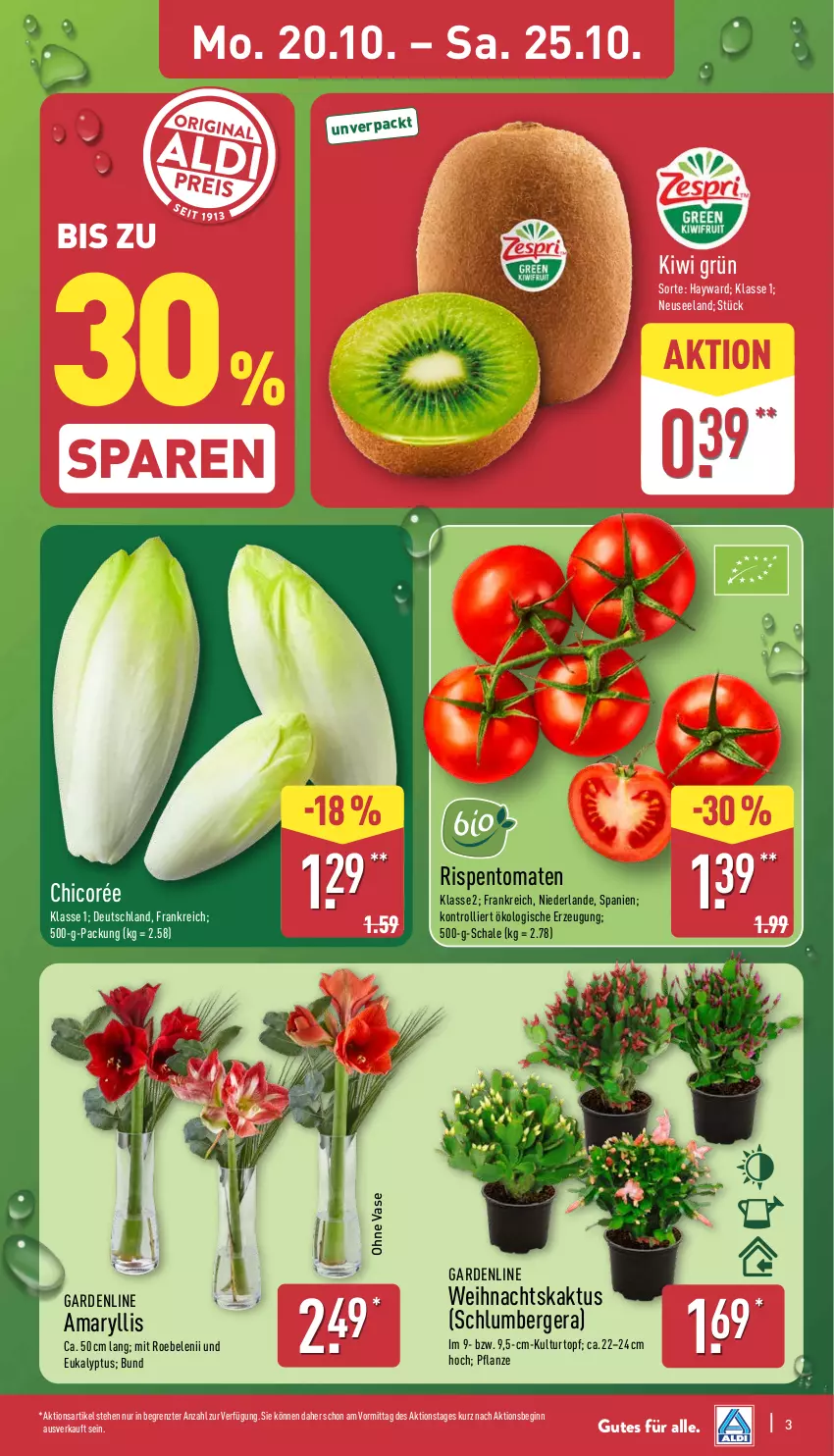 Aktueller Prospekt Aldi Nord - Von Montag - von 20.10 bis 25.10.2025 - strona 3 - produkty: Berger, Blüte, Brei, Elan, gin, kiwi, kulturtopf, pflanze, rispentomaten, Schal, Schale, Ti, tomate, tomaten, topf, trolli, Vase, ZTE