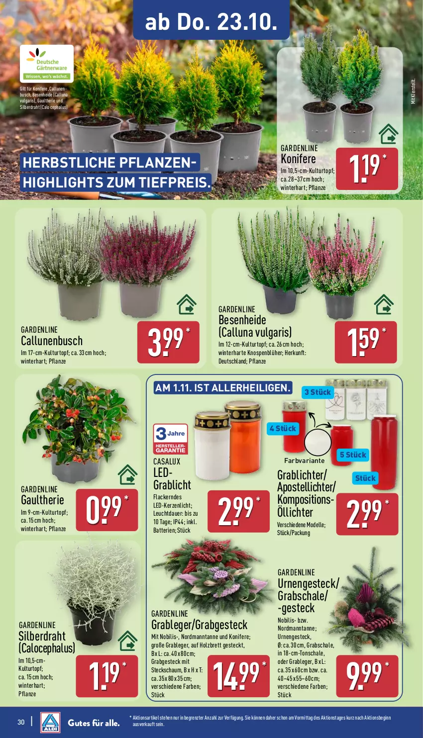 Aktueller Prospekt Aldi Nord - Von Montag - von 20.10 bis 25.10.2025 - strona 30 - produkty: auer, batterie, batterien, Blüte, Brei, dell, Draht, eis, elle, gin, Grabschale, Holz, kerze, Konifere, kulturtopf, lack, Lacke, LED-Kerze, LG, pflanze, pflanzen, reis, Ria, Schal, Schale, Steckschaum, Ti, tiefpreis, topf, ZTE