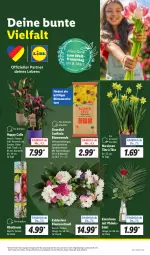 Gazetka promocyjna Lidl - Aktionsprospekt - Gazetka - ważna od 09.03 do 09.03.2024 - strona 7 - produkty: angebot, Bau, blume, blumen, blumenerde, Blumenstrauß, Blüte, dünger, eis, erde, Narzissen, obst, pflanze, pflanzen, Rauch, reis, Spezi, Ti, topf, ZTE