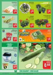 Gazetka promocyjna Marktkauf - Prospekt - Gazetka - ważna od 18.04 do 18.04.2026 - strona 9 - produkty: Becher, deka, edelstahl, eis, freilandkräuter, hortensie, hortensien, kräuter, leine, ndk, Pfingstrosen, pflanze, pflanzen, pflaume, pflaumen, reis, rosen, rosmarin, salat, sauce, saucen, spargel, spargel grün, Surf, Ti, tomate, tomaten, topf, und gemüse, ZTE, zwiebel, zwiebeln
