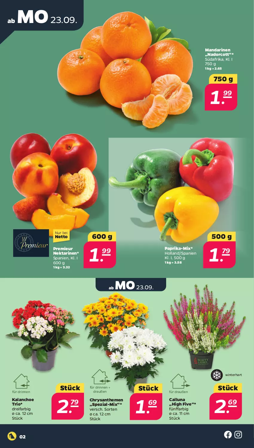 Aktueller Prospekt Netto - Woche 39 - von 23.09 bis 28.09.2024 - strona 2 - produkty: chrysanthemen, Kalanchoe, mandarine, mandarinen, Nektar, nektarinen, paprika, Spezi