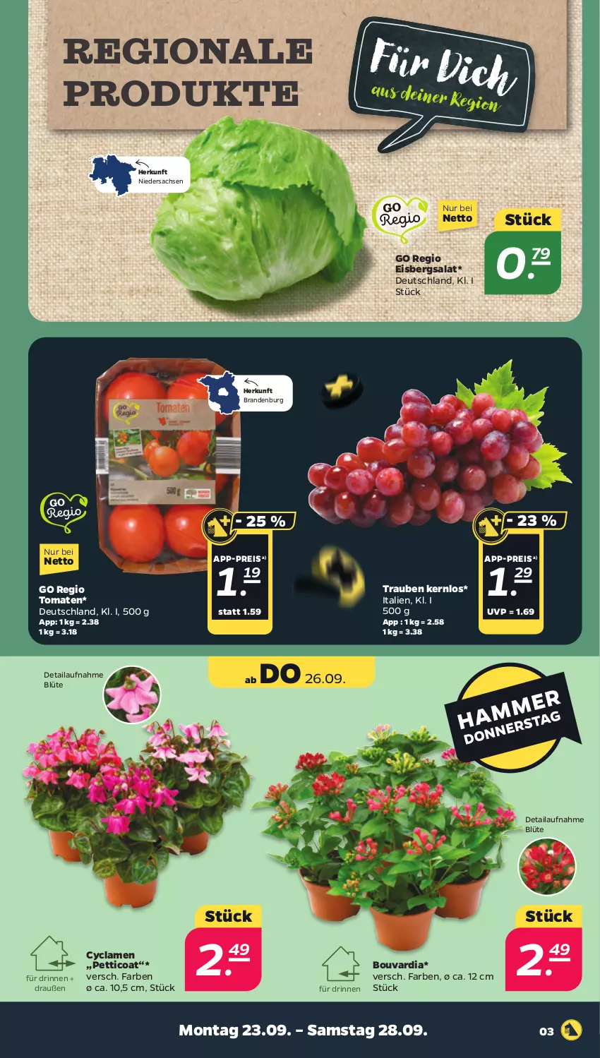 Aktueller Prospekt Netto - Woche 39 - von 23.09 bis 28.09.2024 - strona 3 - produkty: Blüte, eis, eisbergsalat, reis, sac, salat, Ti, tomate, tomaten, trauben