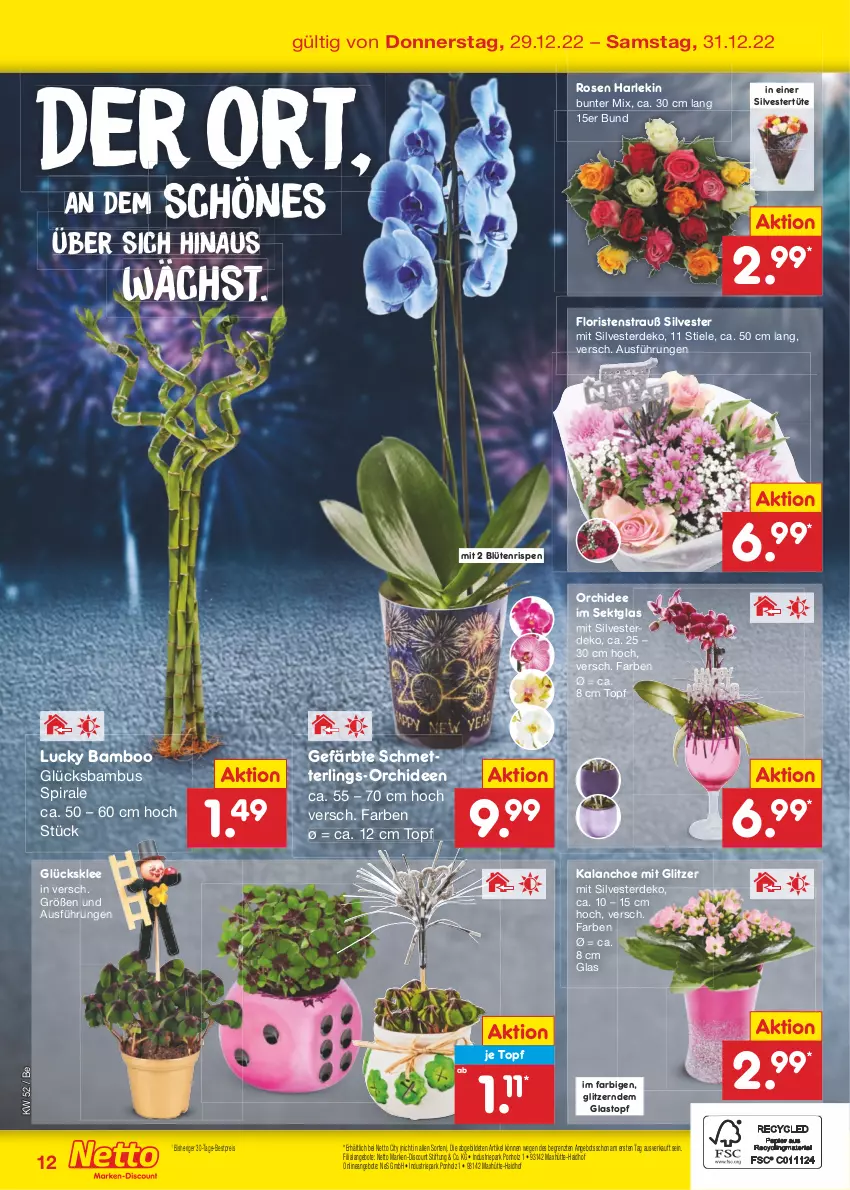 Aktueller Prospekt Netto Marken-Discount - Filial-Angebote - von 27.12 bis 31.12.2022 - strona 40 - produkty: angebot, angebote, bamboo, bambus, bestpreis, Blüte, discount, eis, erde, glücksklee, Holz, Kalanchoe, marken-discount, Mett, orchidee, orchideen, reis, rosen, Schmetterling, sekt, Ti, topf, Tüte, ZTE