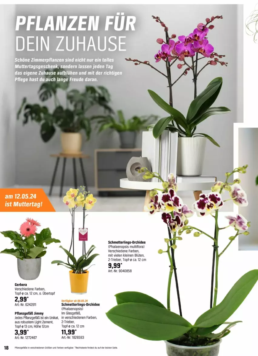 Aktueller Prospekt Obi - Prospekte - von 02.05 bis 25.05.2024 - strona 18 - produkty: Blüte, Gerber, leine, Mett, orchidee, phalaenopsis, Schmetterling, Ti, topf, übertopf, Zement, ZTE