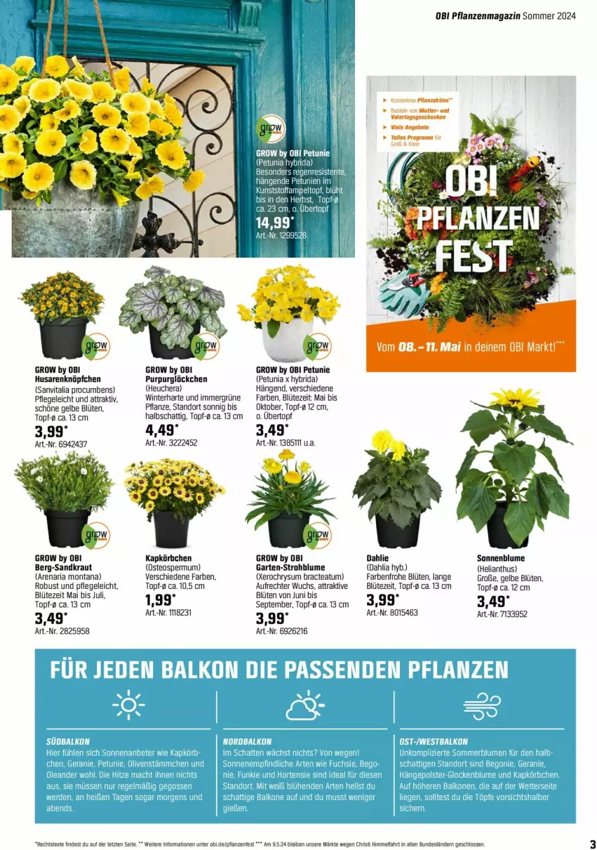 Aktueller Prospekt Obi - Prospekte - von 02.05 bis 25.05.2024 - strona 3 - produkty: blume, Blüte, dahlie, ente, Garten, Heu, Körbchen, Kraut, magazin, montana, ndk, petunie, pflanze, pflanzen, Ria, sonnenblume, Strohblume, Ti, topf, übertopf, vita, ZTE