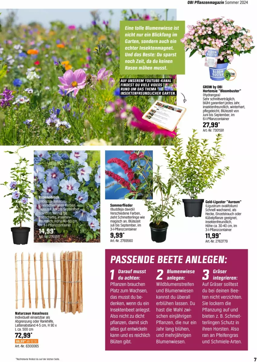 Aktueller Prospekt Obi - Prospekte - von 02.05 bis 25.05.2024 - strona 7 - produkty: blume, blumen, Blüte, Container, flieder, haselnuss, hydrangea, latte, magazin, Mett, miele, natur, nuss, pflanze, pflanzen, Rauch, rum, sac, Schmetterling, sekt, tee, Ti, WICK, Yo, ZTE