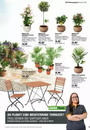 Gazetka promocyjna Obi - Prospekte - Gazetka - ważna od 25.05 do 25.05.2024 - strona 11 - produkty: Bau, Blüte, citrus, dip, dipladenia, Garten, HP, magazin, olive, oliven, pflanze, pflanzen, pril, Stühl, Ti, topf, übertopf, ZTE