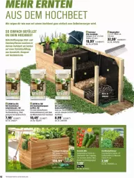 Gazetka promocyjna Obi - Prospekte - Gazetka - ważna od 25.05 do 25.05.2024 - strona 12 - produkty: beetpflanzen, bio, ente, erde, gurke, Holz, kartoffel, melone, natur, obst, pflanze, pflanzen, ZTE