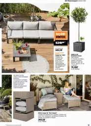 Gazetka promocyjna Obi - Prospekte - Gazetka - ważna od 25.05 do 25.05.2024 - strona 17 - produkty: aluminiumgestell, Bau, hocker, LG, lounge-set, magazin, olive, oliven, pflanze, pflanzen, sessel, Ti, tisch, topf, Yo, ZTE