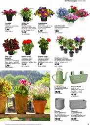 Gazetka promocyjna Obi - Prospekte - Gazetka - ważna od 25.05 do 25.05.2024 - strona 5 - produkty: blume, blumen, Blüte, calibrachoa, Cap, eis, geranie, Gießkanne, Kraut, kübelpflanzen, lungo, magazin, Pelargonium, pflanze, pflanzen, Pflanzkasten, Pflanztopf, Ti, topf, zauberglöckchen, Zement, ZTE