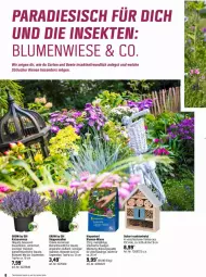 Gazetka promocyjna Obi - Prospekte - Gazetka - ważna od 25.05 do 25.05.2024 - strona 6 - produkty: auer, blume, blumen, Blüte, elle, Garten, Holz, minze, sekt, topf, ZTE