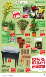 Gazetka promocyjna Kaufland - Gazetka - ważna od 22.02 do 22.02.2023 - strona 15 - produkty: Abba, angebot, angebote, Bau, bio, blume, Blüte, erde, Garten, kokos, kräuter, kräutern, küche, Küchen, Narzissen, natur, Parkside, pflanze, pflanzen, Primeln, Rauch, rwe, tablet, tablett, Tablette, Ti, topf, wasser