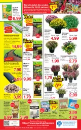 Gazetka promocyjna Jawoll - Prospekte - Gazetka - ważna od 10.09 do 10.09.2022 - strona 12 - produkty: auer, beutel, binden, blume, blumen, blumenerde, Blüte, brustfilet, chrysanthemen, drucker, dünger, eis, Engel, ente, Entenbrust, erde, filet, hühner, Katzenstreu, kerze, Knödel, Kraut, LG, mehl, Meisenknödel, pflanze, pflanzerde, rasen, rasendünger, rind, rindenmulch, rwe, sac, sekt, starlight, Ti, topf, zwiebel, zwiebeln