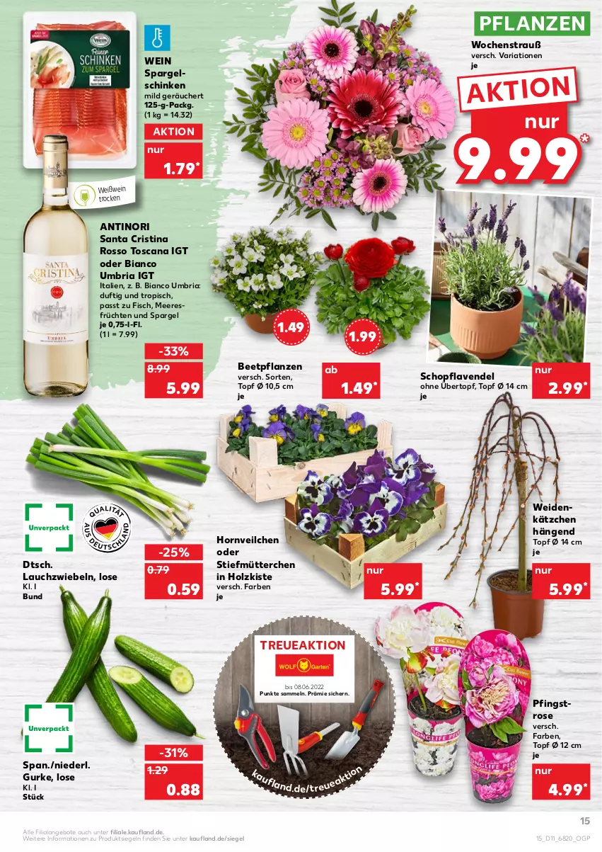 Aktueller Prospekt Kaufland - von 17.03 bis 23.03.2022 - strona 15 - produkty: angebot, angebote, beetpflanzen, fisch, früchte, früchten, gurke, Holz, Kätzchen, Lauchzwiebel, lauchzwiebeln, lavendel, meeresfrüchte, pflanze, pflanzen, Ria, schinken, spargel, Ti, topf, topf ø 12 cm, übertopf, wein, Weißwein, zwiebel, zwiebeln