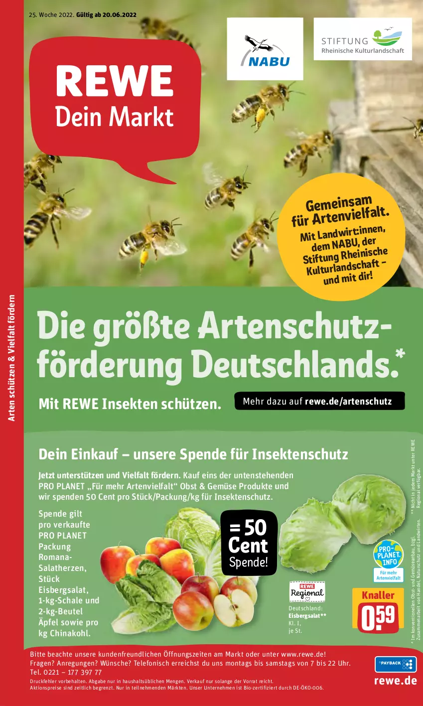 Aktueller Prospekt Rewe - Diese Woche im Angebot! - von 20.06 bis 25.06.2022 - strona 21 - produkty: aktionspreis, Bau, beutel, bio, eis, eisbergsalat, elle, insektenschutz, natur, obst, reis, Romanasalat, salat, salatherzen, Schal, Schale, Schütze, sekt, telefon, Ti, uhr, und gemüse