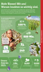 Gazetka promocyjna Rewe - Diese Woche im Angebot! - Gazetka - ważna od 25.06 do 25.06.2022 - strona 22 - produkty: Bau, blume, blumen, eis, erde, insektenschutz, Meister, monitor, obst, pflanze, pflanzen, quad, ring, rum, Schütze, sekt, Ti, Wild