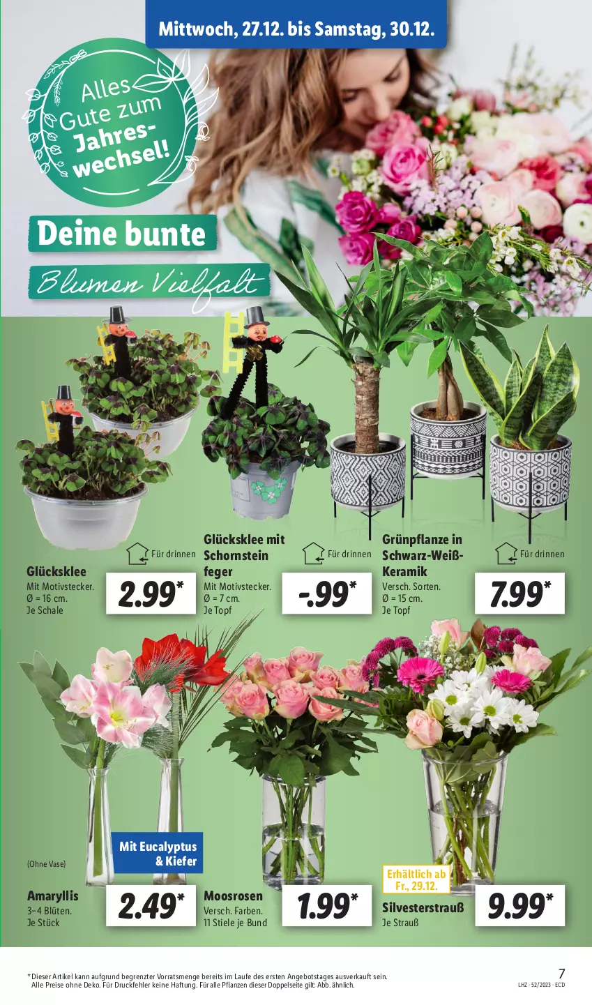 Aktueller Prospekt Lidl - Aktionsprospekt - von 25.12 bis 30.12.2023 - strona 7 - produkty: angebot, Blüte, eis, glücksklee, pflanze, pflanzen, reis, rosen, Schal, Schale, Ti, topf, Vase, ZTE