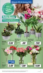 Gazetka promocyjna Lidl - Aktionsprospekt - Gazetka - ważna od 30.12 do 30.12.2023 - strona 7 - produkty: angebot, Blüte, eis, glücksklee, pflanze, pflanzen, reis, rosen, Schal, Schale, Ti, topf, Vase, ZTE