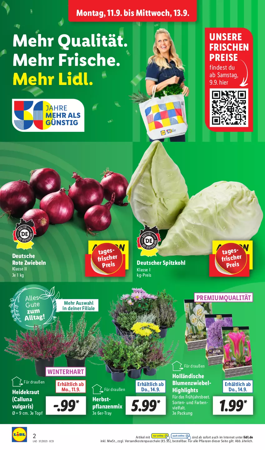 Aktueller Prospekt Lidl - Aktionsprospekt - von 11.09 bis 16.09.2023 - strona 2 - produkty: blume, blumen, eis, Heidekraut, Kraut, LG, ndk, pflanze, pflanzen, reis, Rote Zwiebel, Schal, Schale, spitzkohl, Ti, topf, zwiebel, zwiebeln