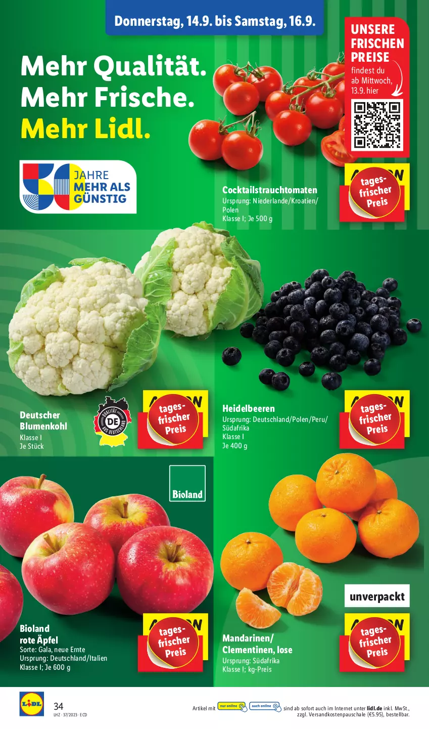 Aktueller Prospekt Lidl - Aktionsprospekt - von 11.09 bis 16.09.2023 - strona 50 - produkty: beere, beeren, bio, bioland, blume, blumen, blumenkohl, clementinen, cocktail, cocktails, eis, heidelbeere, heidelbeeren, mandarine, mandarinen, ndk, Rauch, reis, Schal, Schale, strauchtomaten, Ti, tomate, tomaten