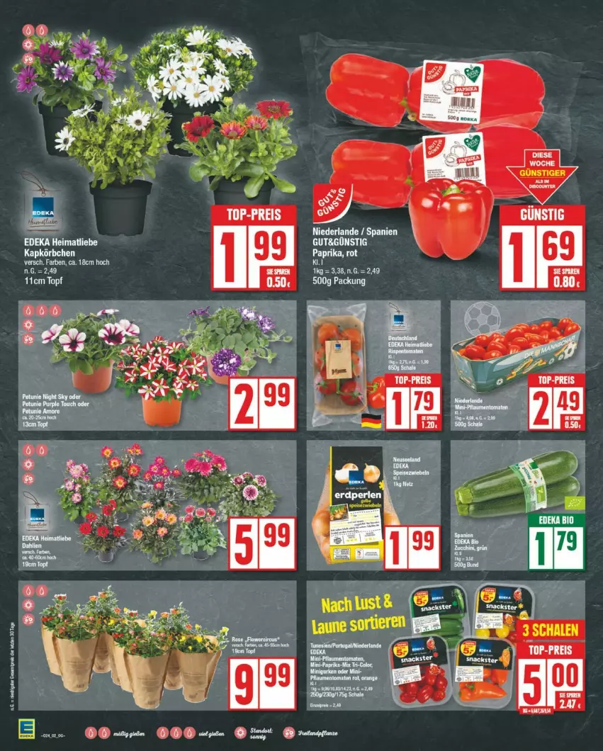 Aktueller Prospekt Edeka - Prospekte - von 10.06 bis 15.06.2024 - strona 2 - produkty: deka, eis, Körbchen, reis, Schal, Schale, Ti, top-preis, topf