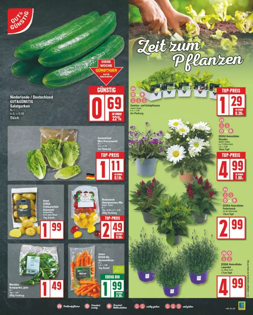 Aktueller Prospekt Edeka - Prospekte - von 17.06 bis 22.06.2024 - strona 3 - produkty: Bau, eis, Ti